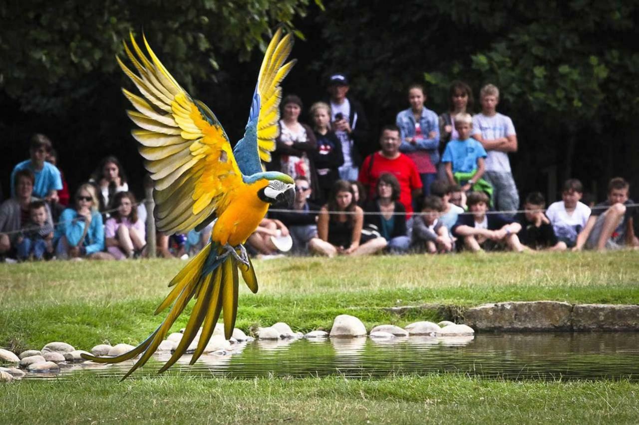 Popote Et Polochon Panzió Saint-Martin-sur-Oust Kültér fotó